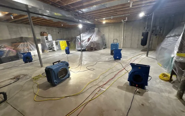 Basement Flood Cleanup in El Cajon, CA