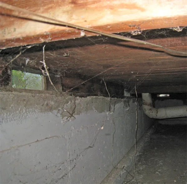 Crawlspace Water Removal in an El Cajon home