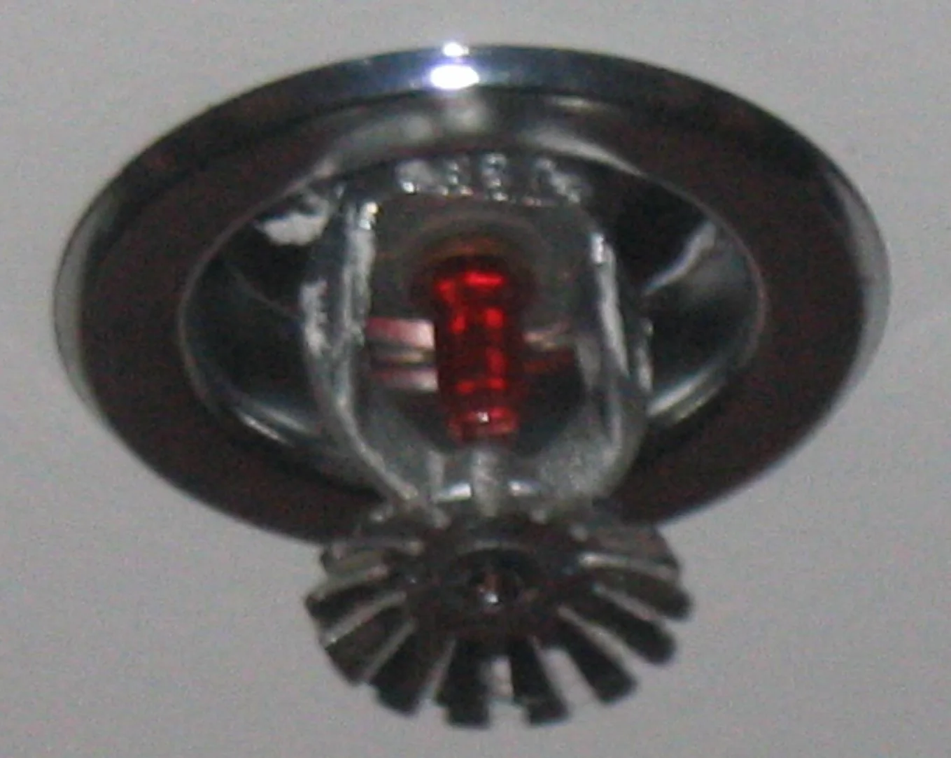 Fire Sprinkler Discharge in an El Cajon home