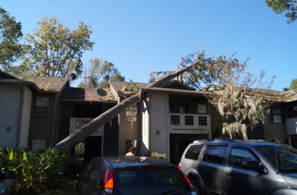 Storm Damage Restoration El Cajon, California